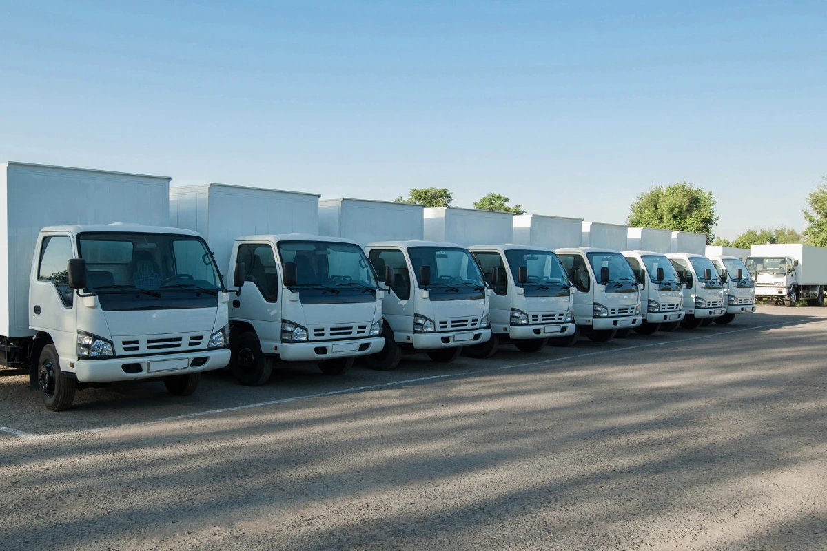 Ferreira Group — equipo en operaciones